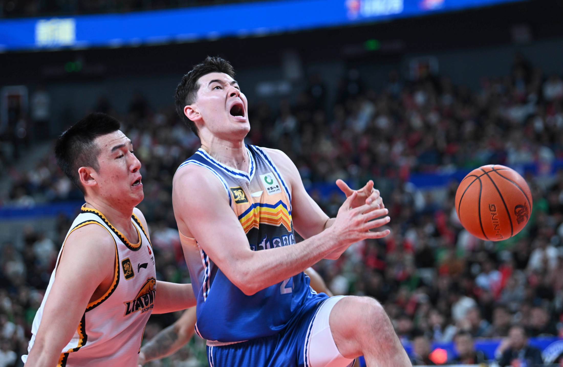  里程碑夜！波士顿凯尔特人伤情更新，CBA常规赛赛前刷纪录，球迷炸锅，团队化学反应显著