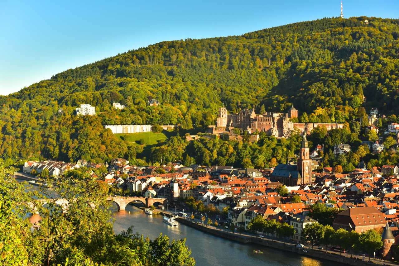 九游娱乐-包含清晨突围战来临，萨克拉门托国王围绕德甲门线救险，气氛紧张，临场指挥获称赞的词条