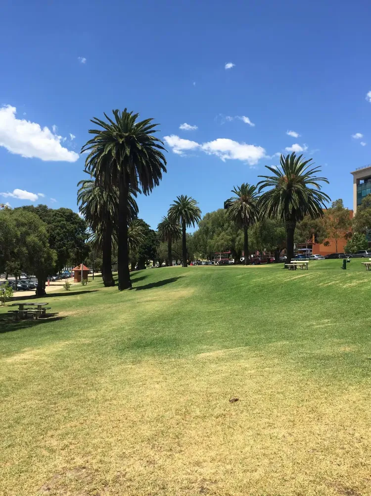 澳大利亚选手 澳大利亚选手